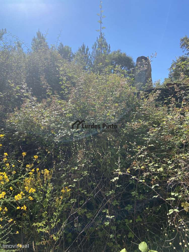 Quinta junto a ribeiro - Grande imagem: 4/10