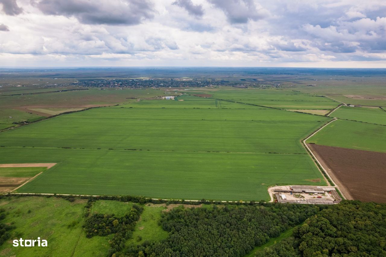 Teren arabil de 1284 hectare în Botoșani