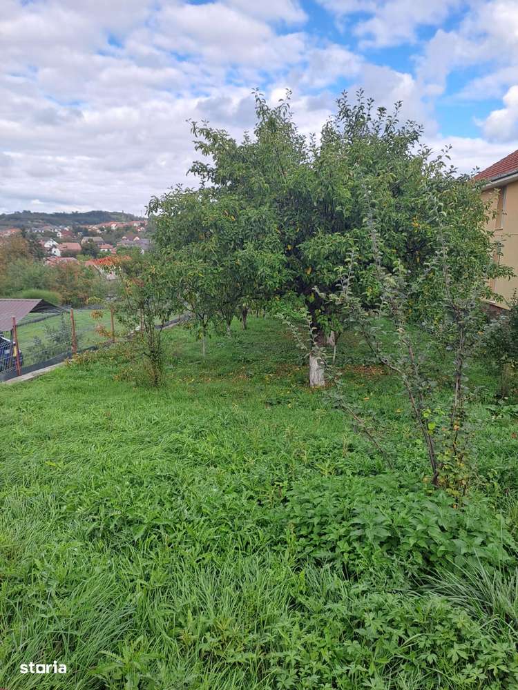 Teren intravilan 646 mp - strada Crasnei - Imagine principală: 2/4