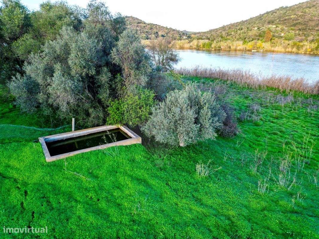 Quinta  para venda - Grande imagem: 4/8