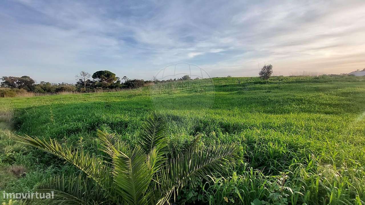 Terreno  para venda - Grande imagem: 5/18