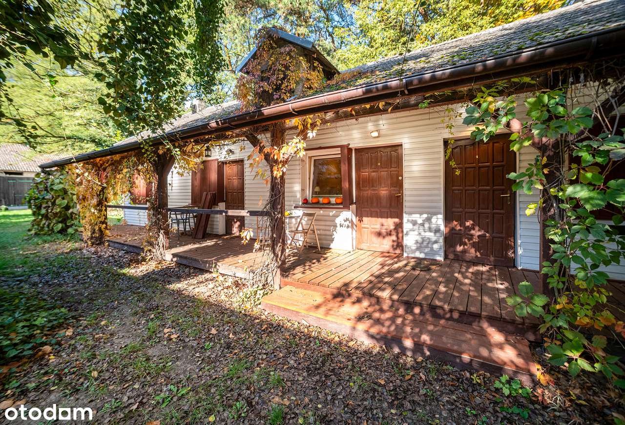 Malownicze siedlisko pod Łowiczem-14