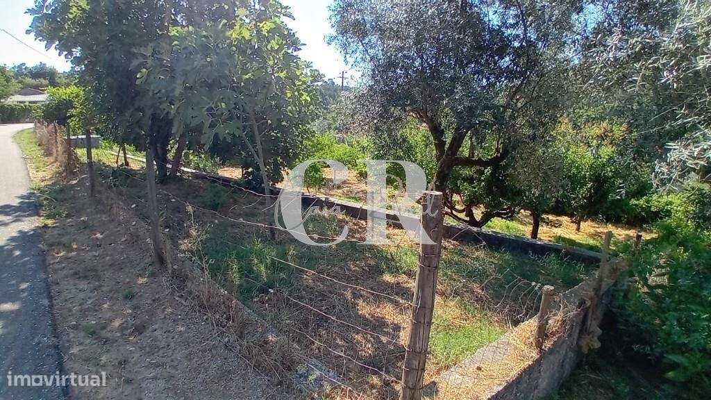 Terreno rustico a confinar com ribeiro em Figueiró dos Vinhos - Grande imagem: 4/19