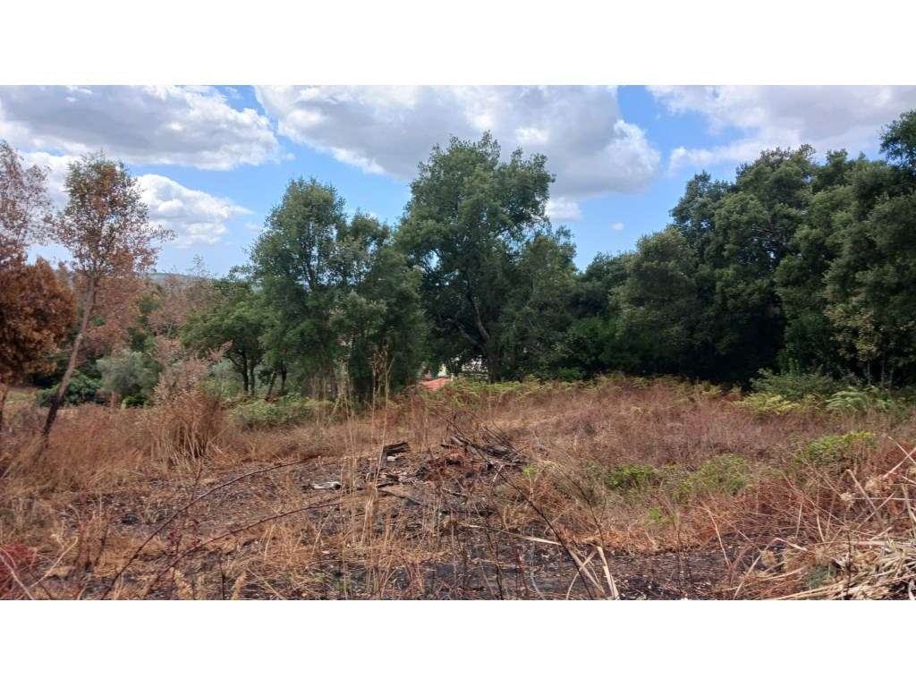 TERRENO MISTO | MELRES | GONDOMAR-5