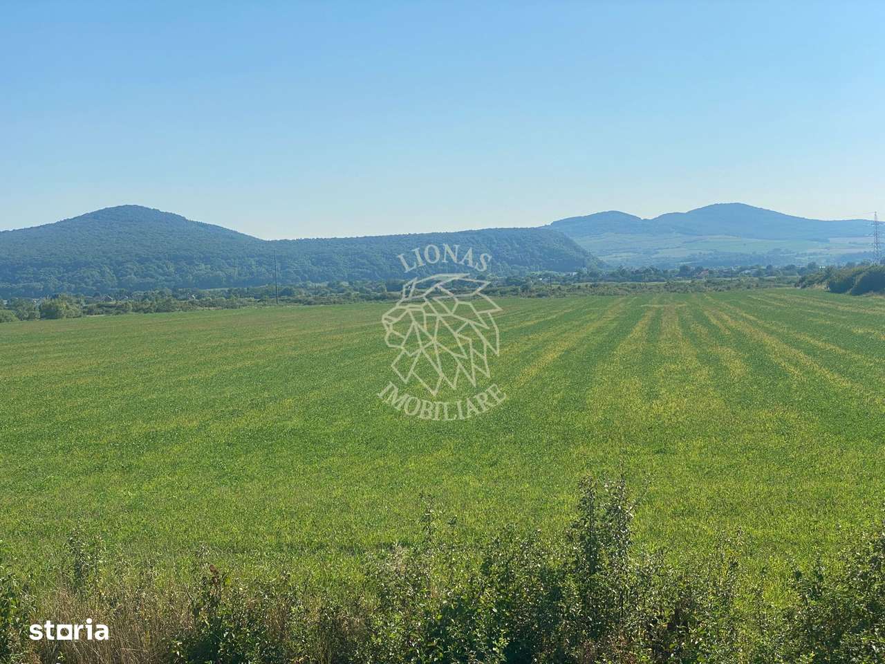 Teren 13400mp la DN 17-parcelabil Podirei - Imagine principală: 5/7