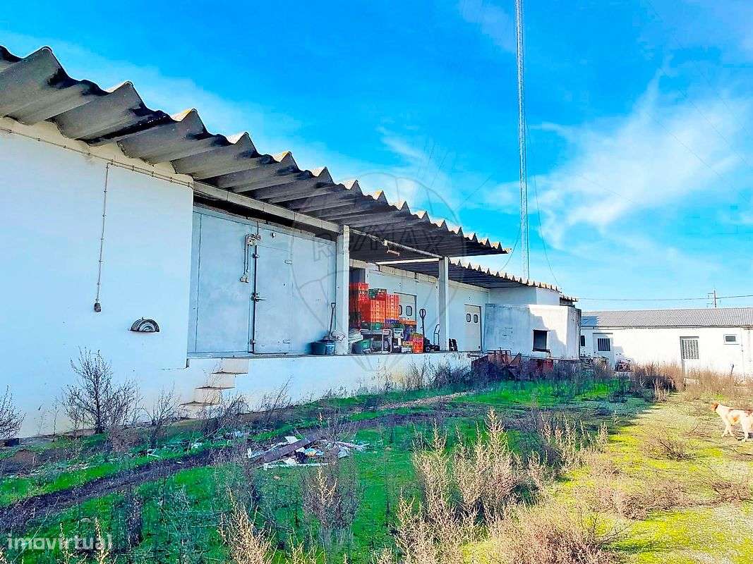 Quinta  para venda-30