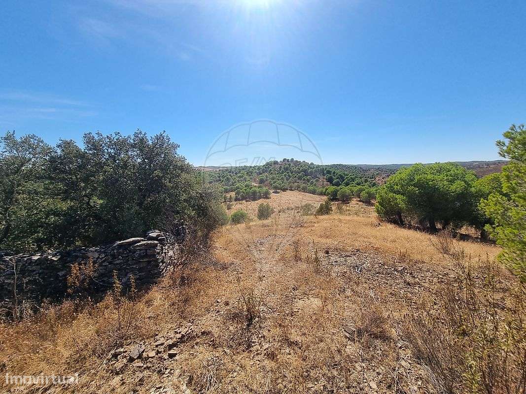 Quinta  para venda - Grande imagem: 1/13