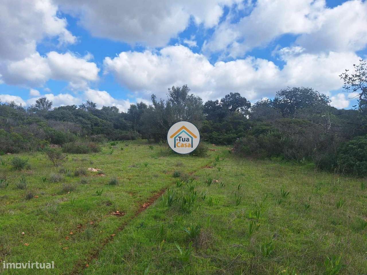 Terreno com ruína - Grande imagem: 1/18