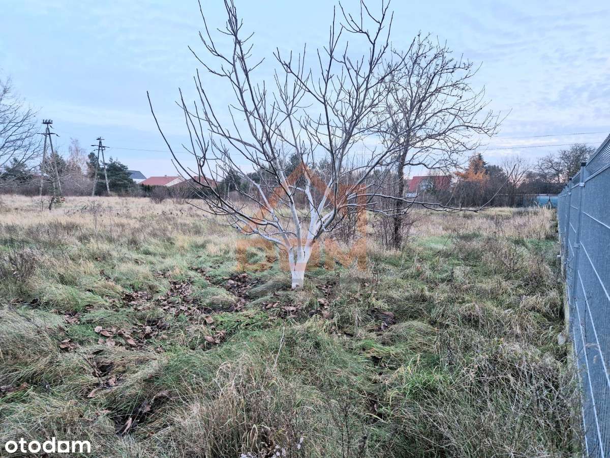 Działka budowlana 1311 m2 Łochowo - Pełny obrazek: 4/4