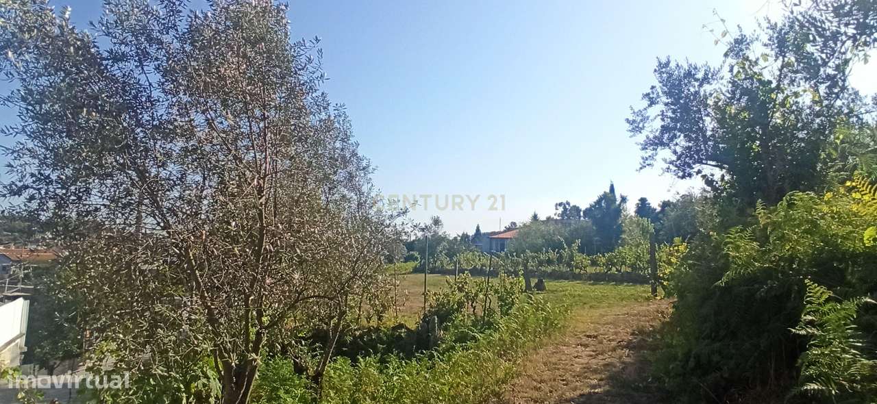 Terreno com 2600m2 em Viseu, zona de construção H2 com Poço - Grande imagem: 2/14