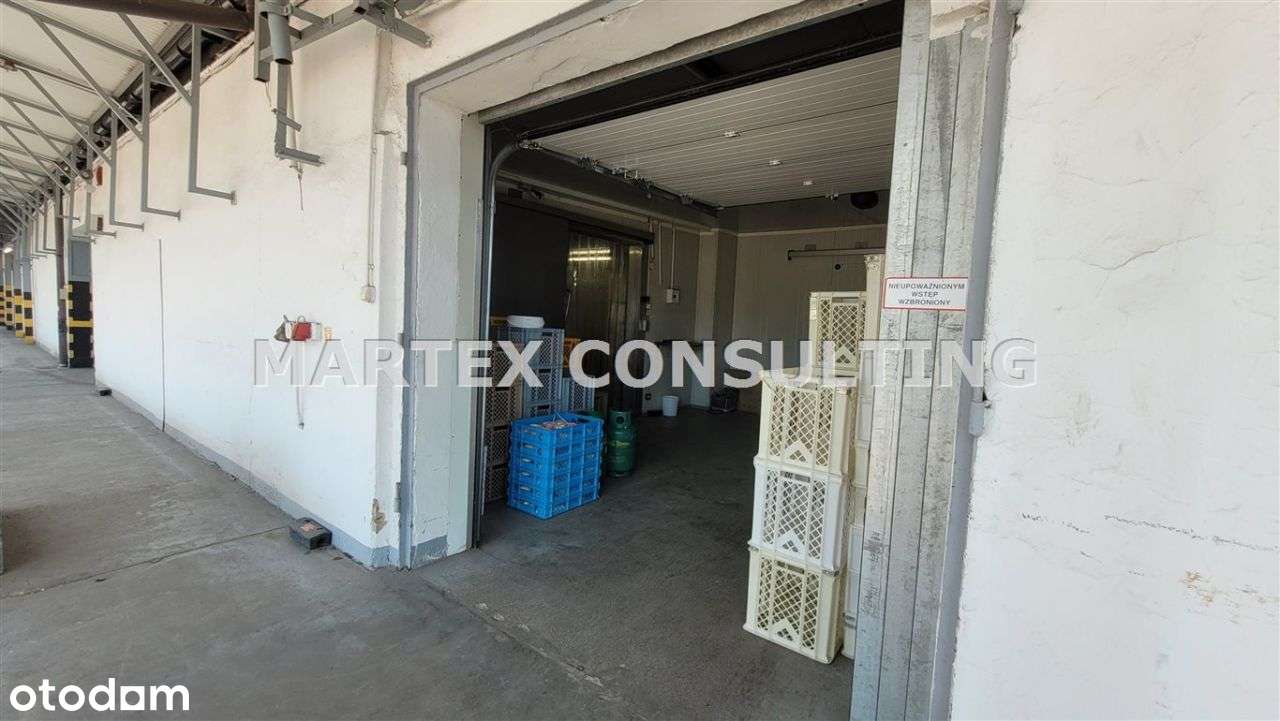 Hala/Magazyn, 895 m², Wodzisław Śląski - Pełny obrazek: 4/6