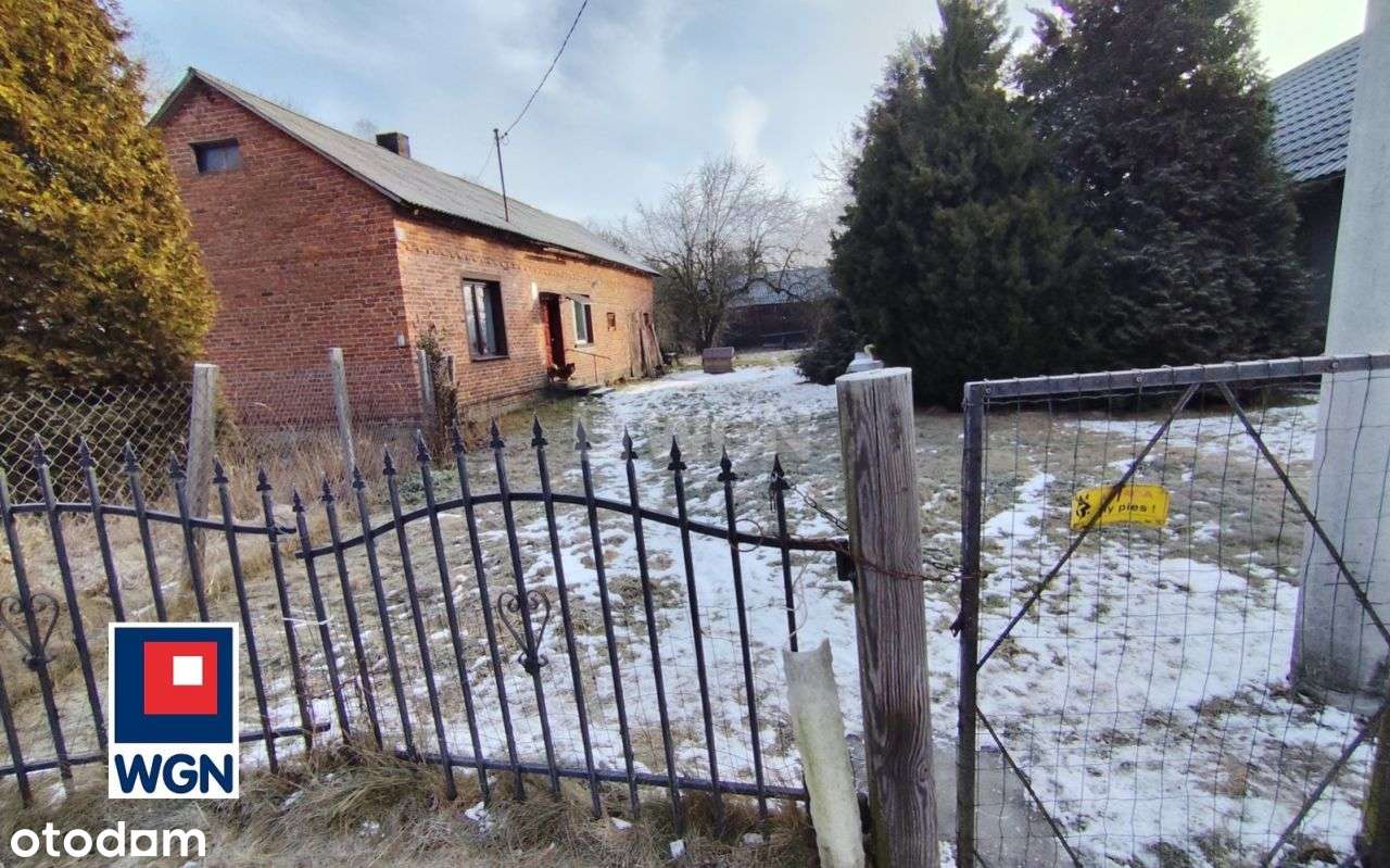 Dom, 40 m², Adamów-4