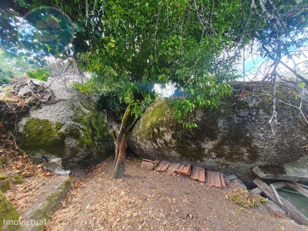 Quinta à venda para restauro em Arroteia freguesia de Rossas-59