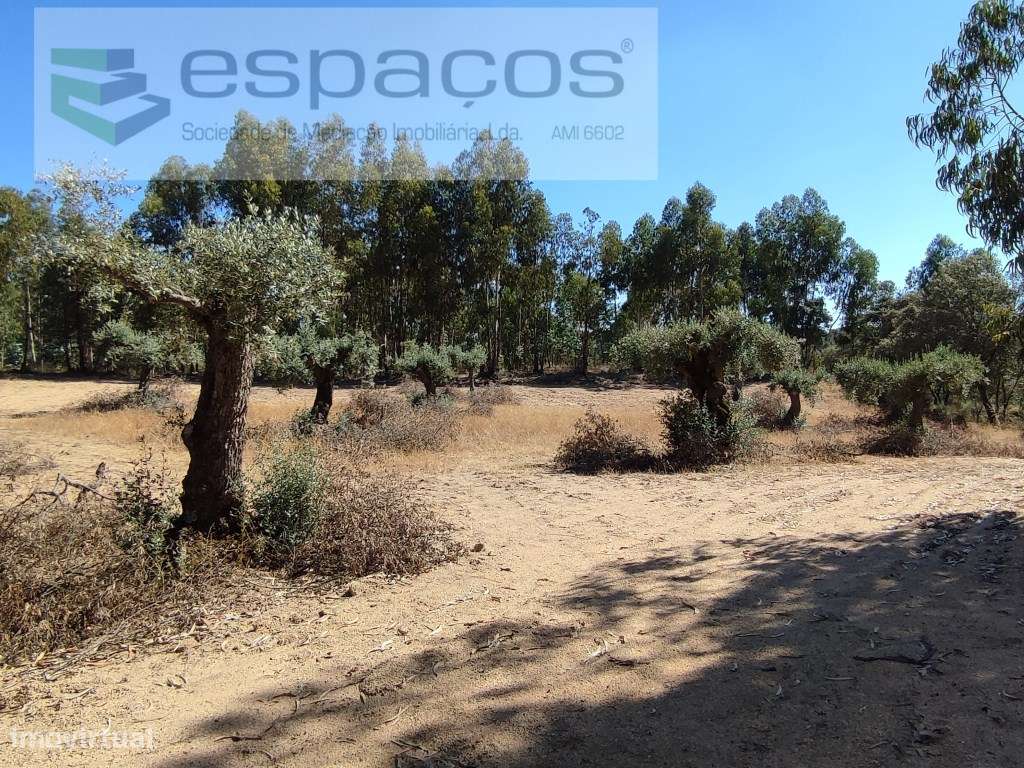 Terreno Rústico com 7 Hectares - Grande imagem: 3/28