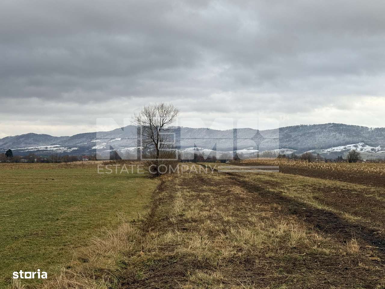 Teren 80 Ari | Vicovu de Sus – Bahna | Front 16.5 - Imagine principală: 4/5