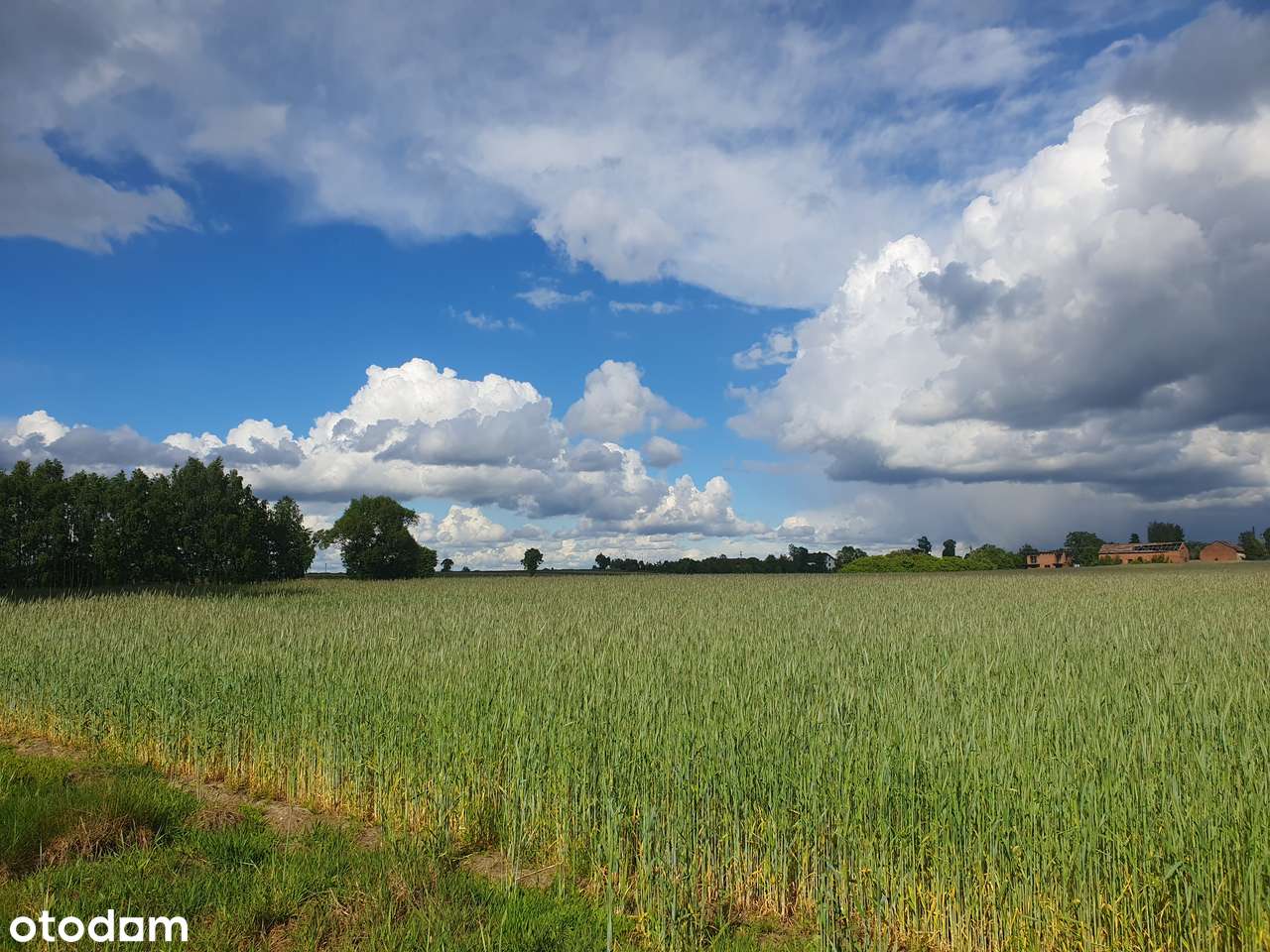 Budowlane przy lesie i rzece Grabia. Twoja sprawdzona inwestycja RATY-12