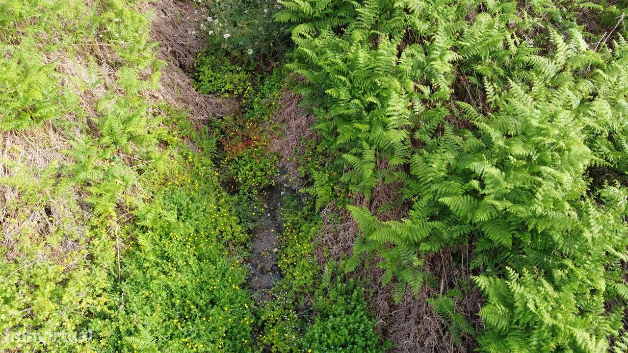 Quinta T0 Venda em Figueiró da Serra e Freixo da Serra,Gouveia-6