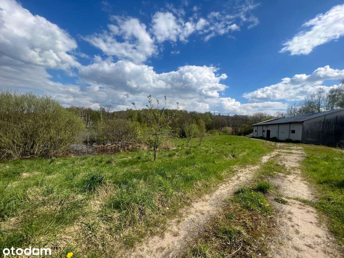 Piękne tereny, duży potencjał, Siedlisko:)-10