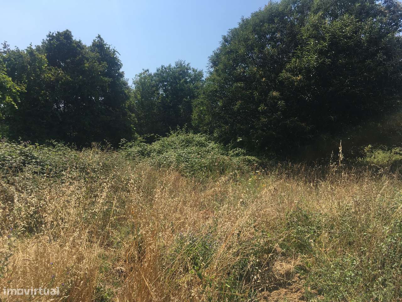 Agricultural land/Land em Viseu, São Pedro Do Sul REF:029 - Grande imagem: 5/10