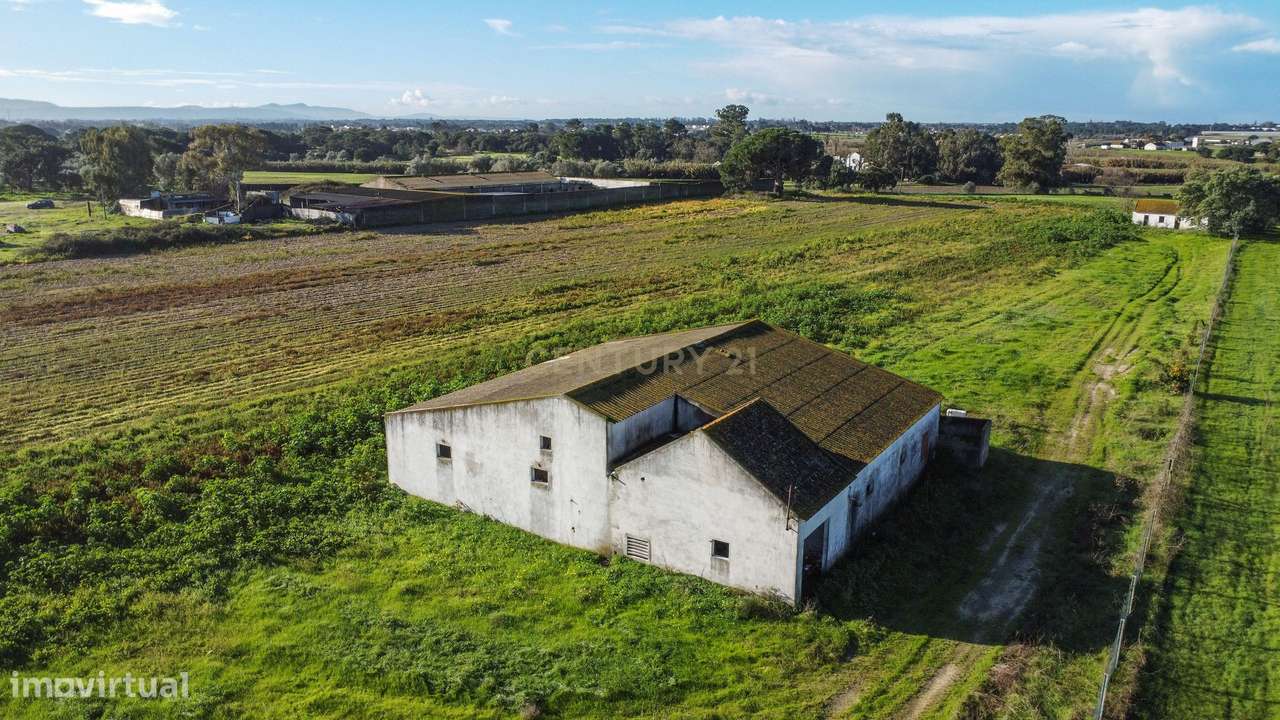 Quinta  Montijo - Jardia p/ Reabilitação c/ 14.000m2  - 3 licenças urb-9