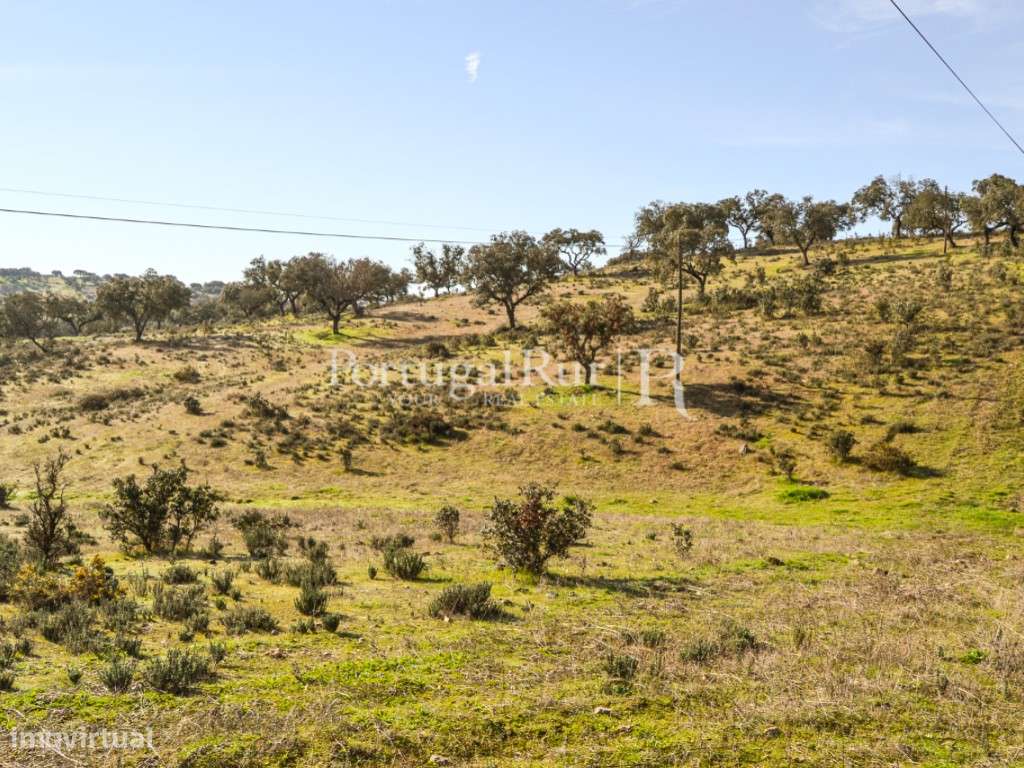 Herdade de 60 ha e monte, em Reguengos de Monsaraz-22