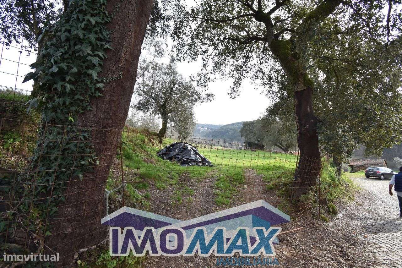 Campo dos Padrões - Capela,Penafiel - Grande imagem: 5/5