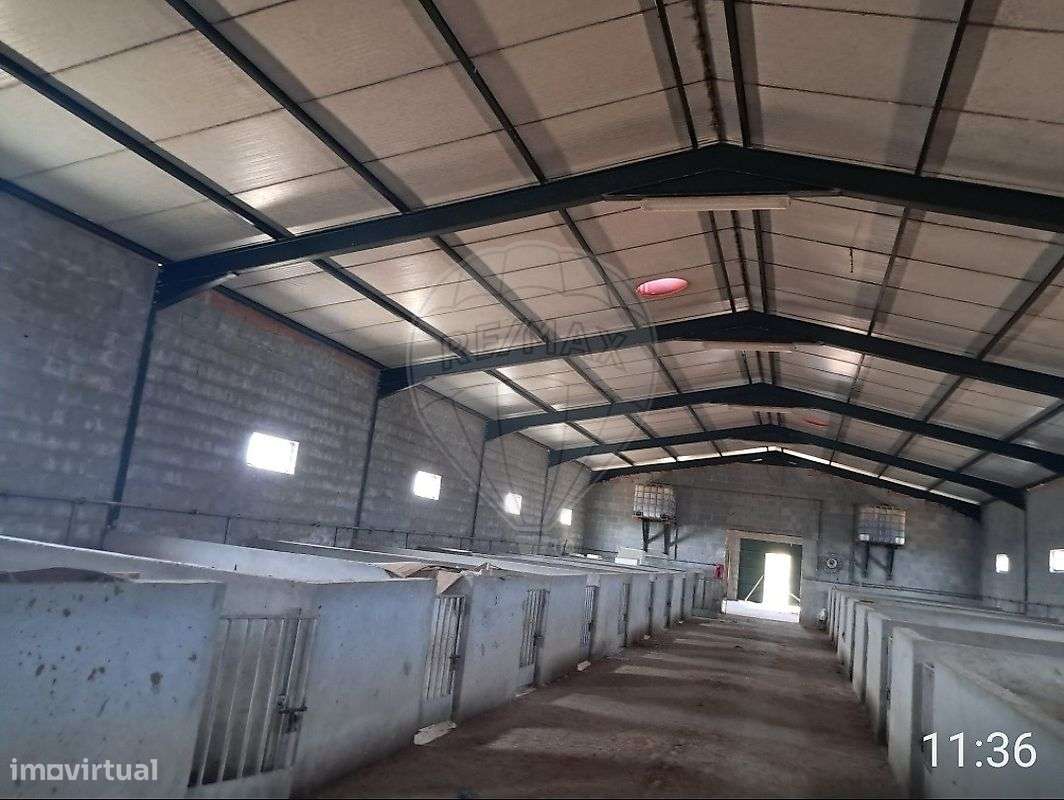 Armazém  para venda-5