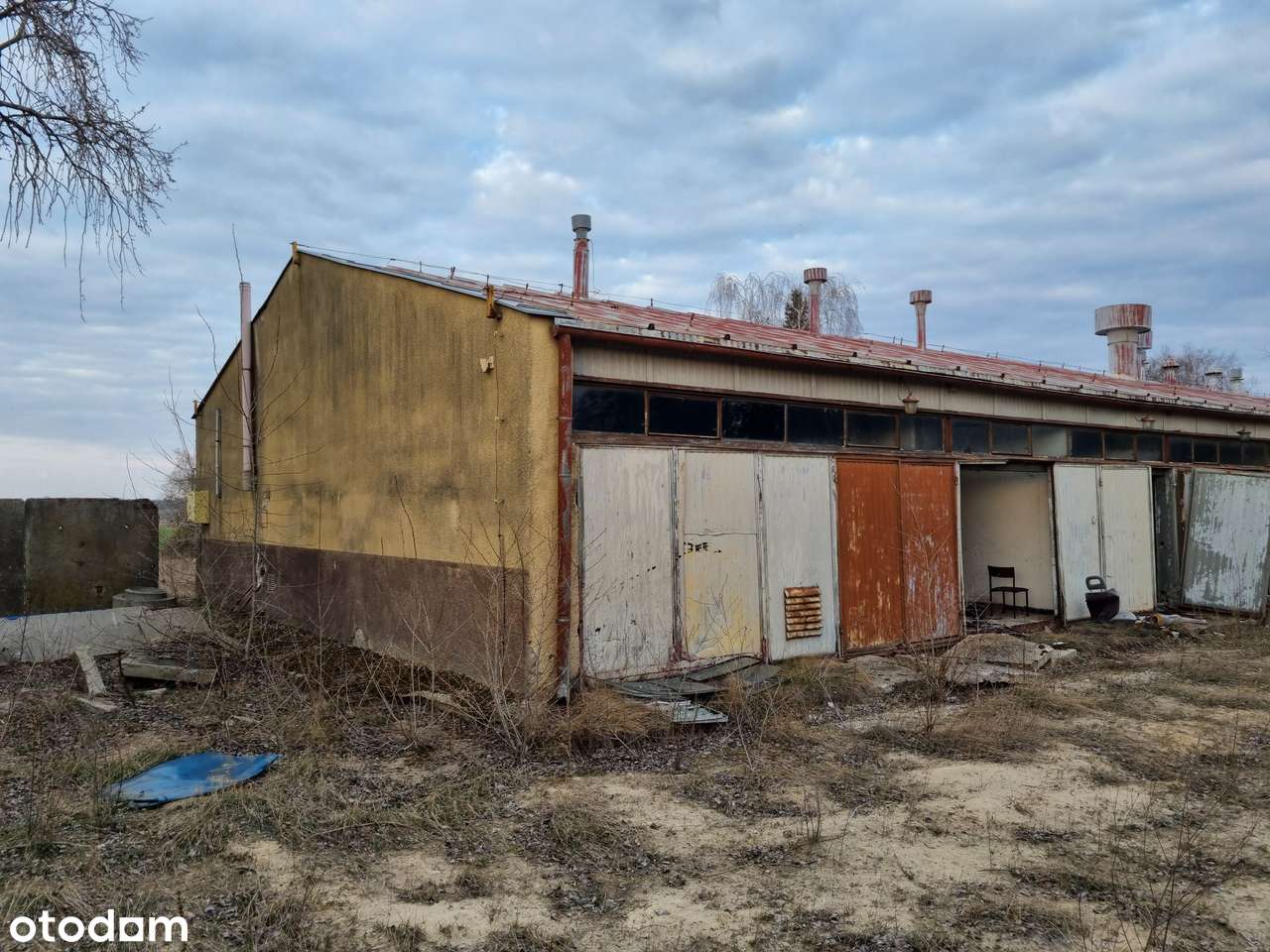 Teren inwestycyjny - 5,5 ha - z budynkami - Żabno powiat śremski - Pełny obrazek: 4/14