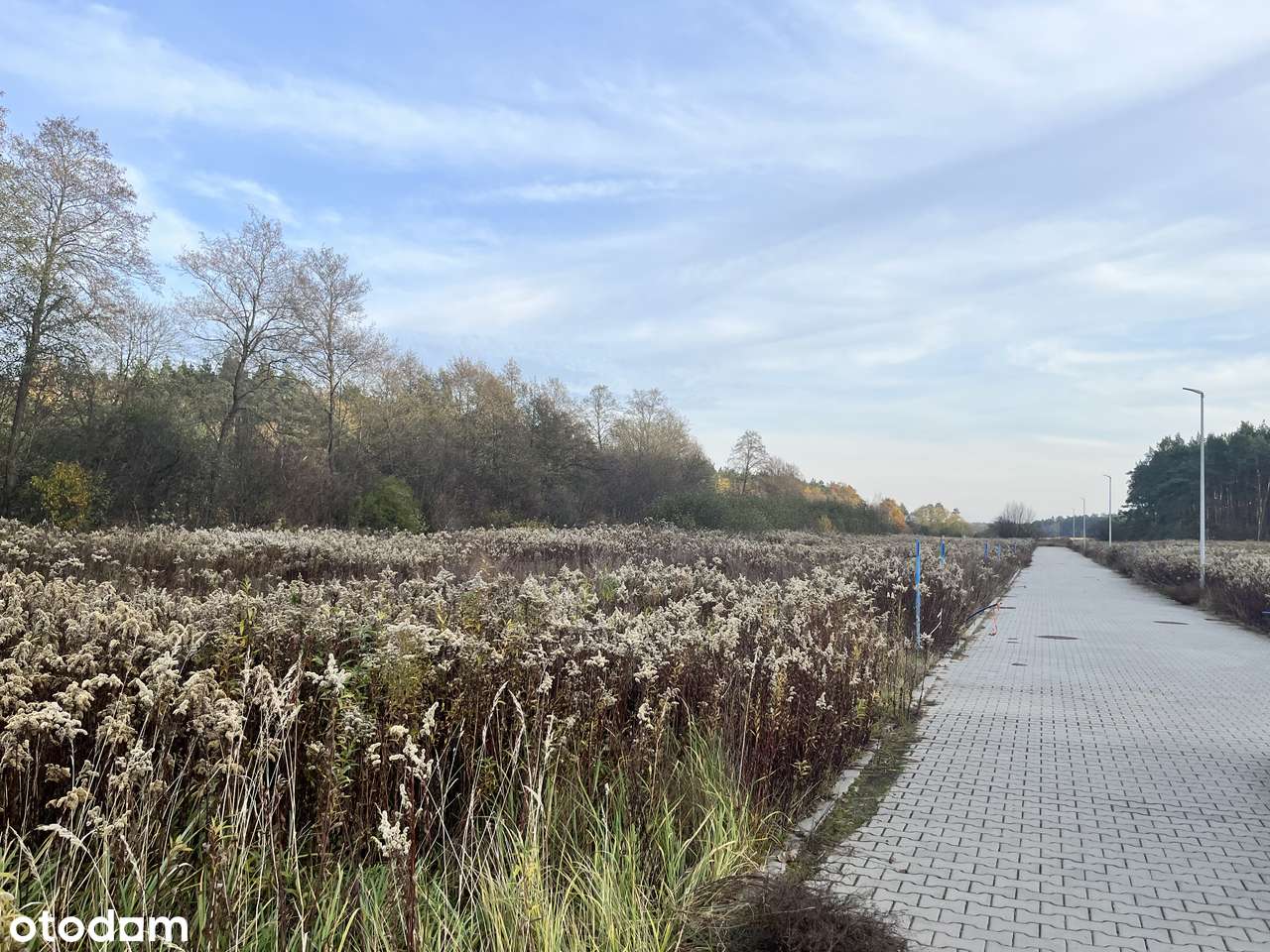 Na sprzedaż 19 działek budowlanych – ul. Zielona Dolina - Pełny obrazek: 5/8