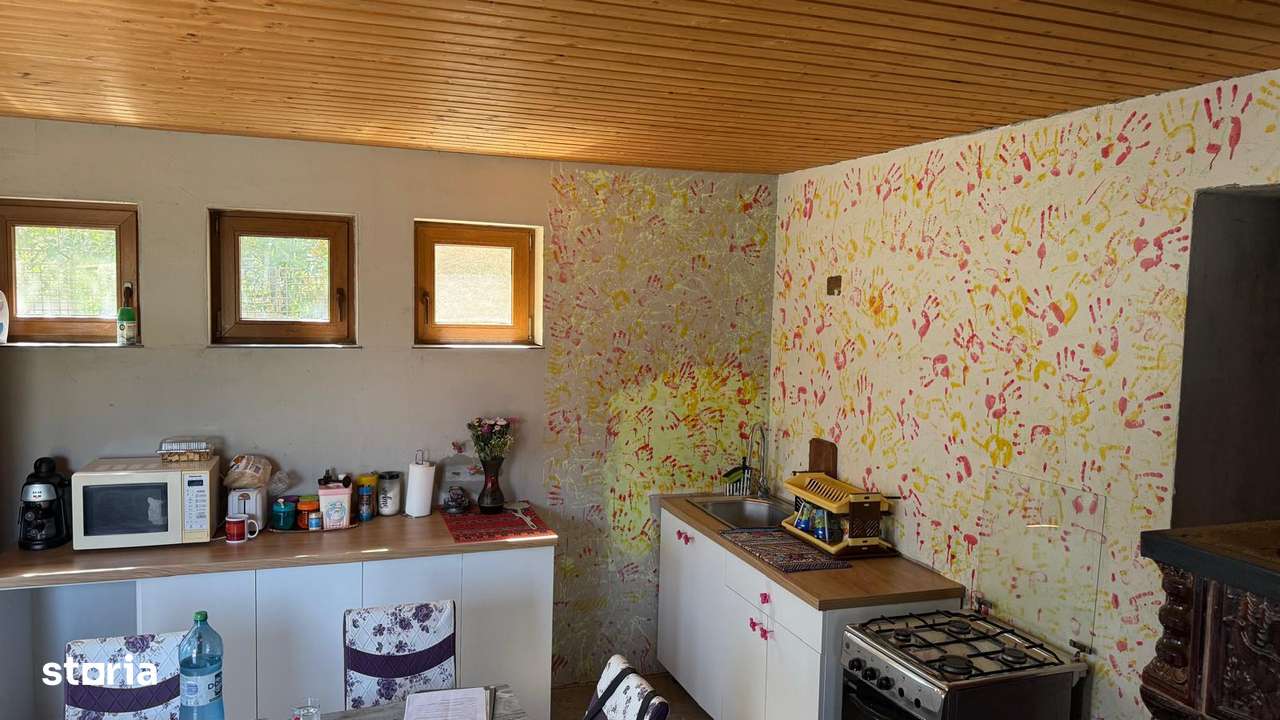 Casă Ginta creata de proprietar arhitect 75 mp utili, teren 265 mp-10