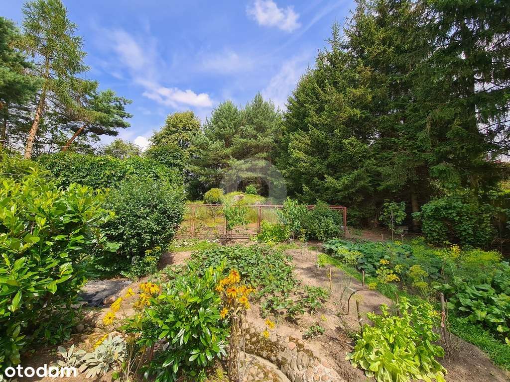 Grzmiąca gmina Żabia Wola dom  na działce  13800m2-14