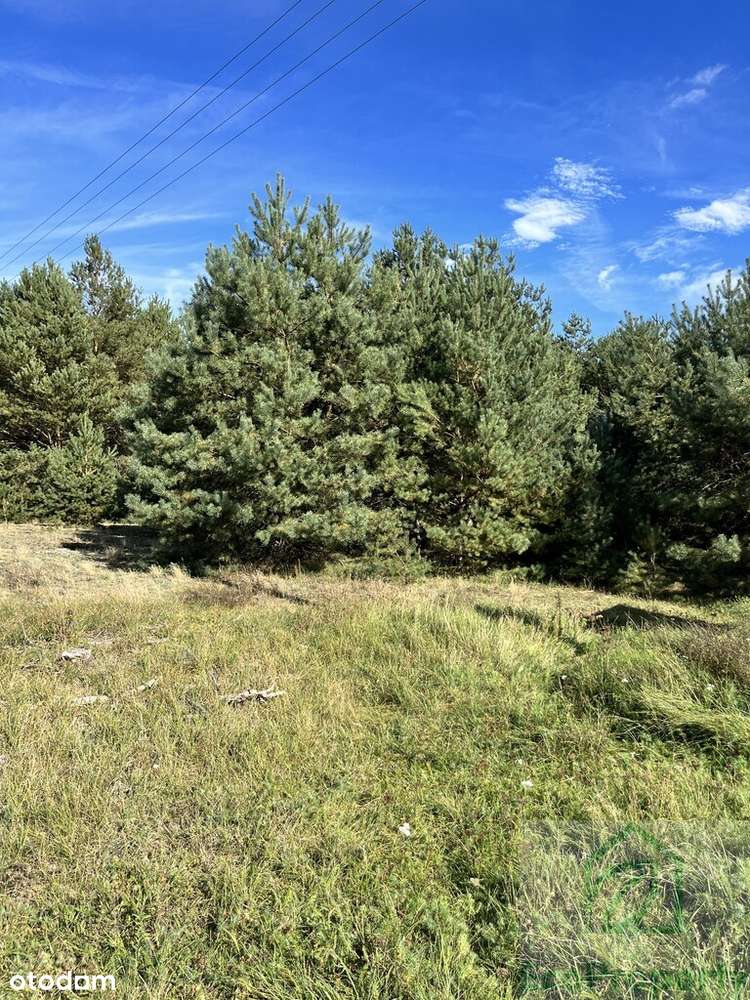 Działka budowlana 2407 m² – Lechlinek, gm. Skoki - Pełny obrazek: 4/4