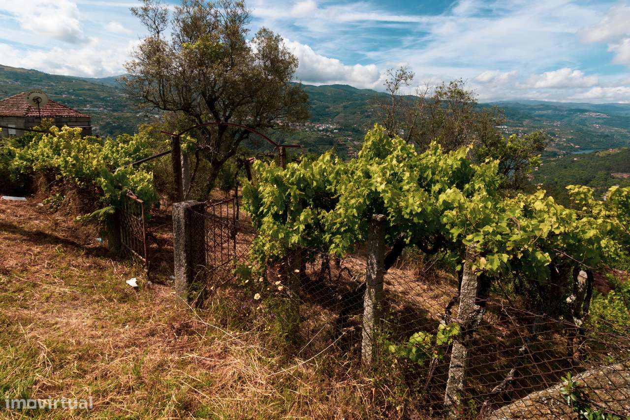 Quintinha com Vista para o Rio Douro – Baião-1