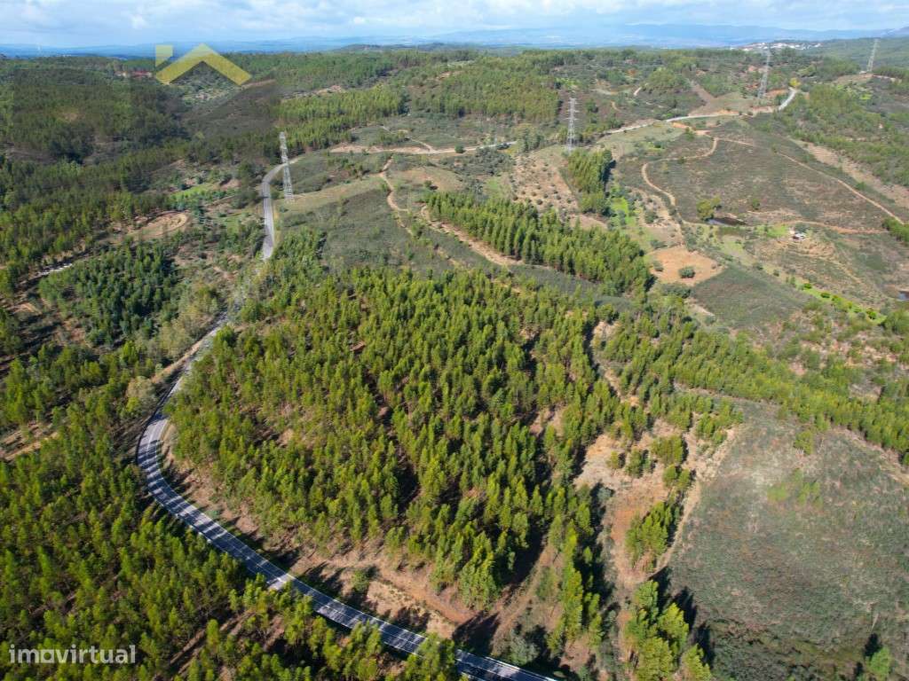 Terreno rústico de 4.480m2 - Grande imagem: 2/3