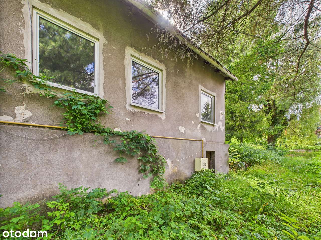 Zielona Działka z Własnym Źródłem i Stawikiem w Świetnej Lokalizacji!-18