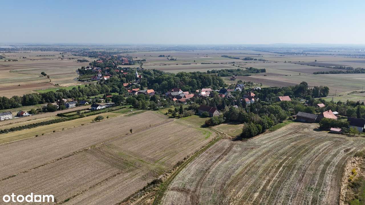 Działka, 8 342 m², Chełmiec-4