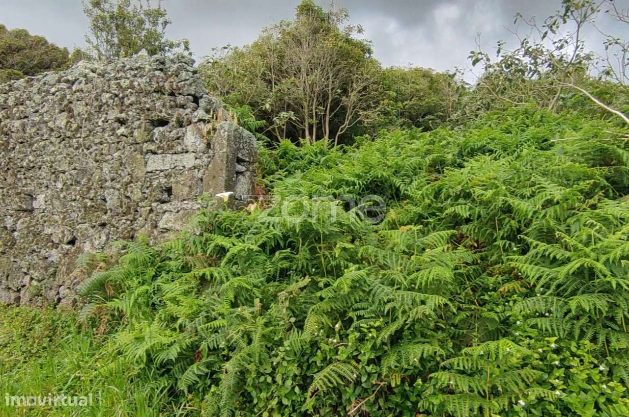 Terreno agrícola - Grande imagem: 4/9