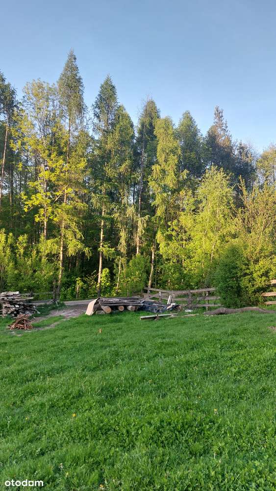 Uzbrojone 2 działki budowlane przy lesie| 9.27a i 11.5 ar | cent.9 min-15