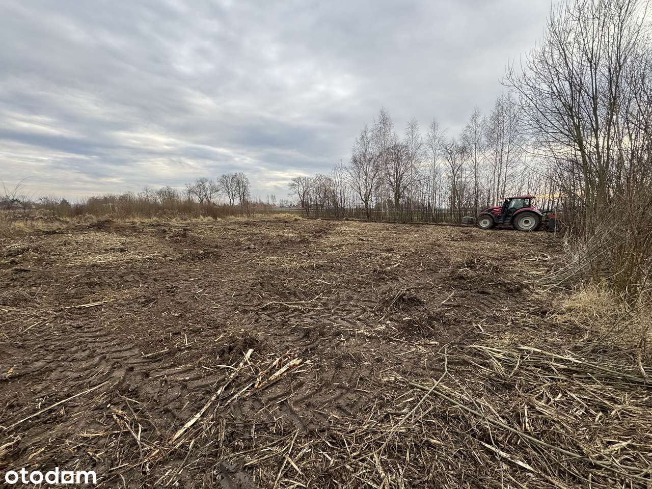 Działka budowlana 1234 m2 na sprzedaż CISY koło Malborka - Pełny obrazek: 4/5