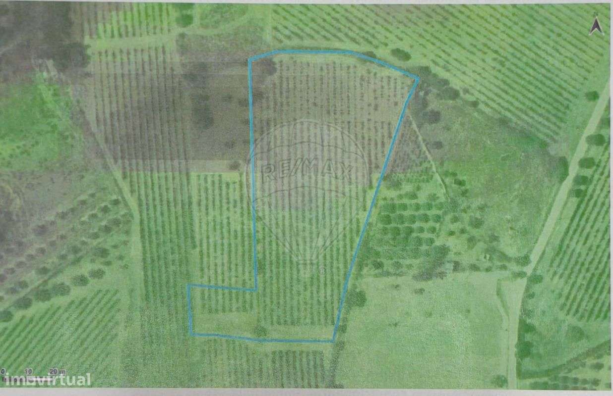 Terreno  para venda - Grande imagem: 5/6