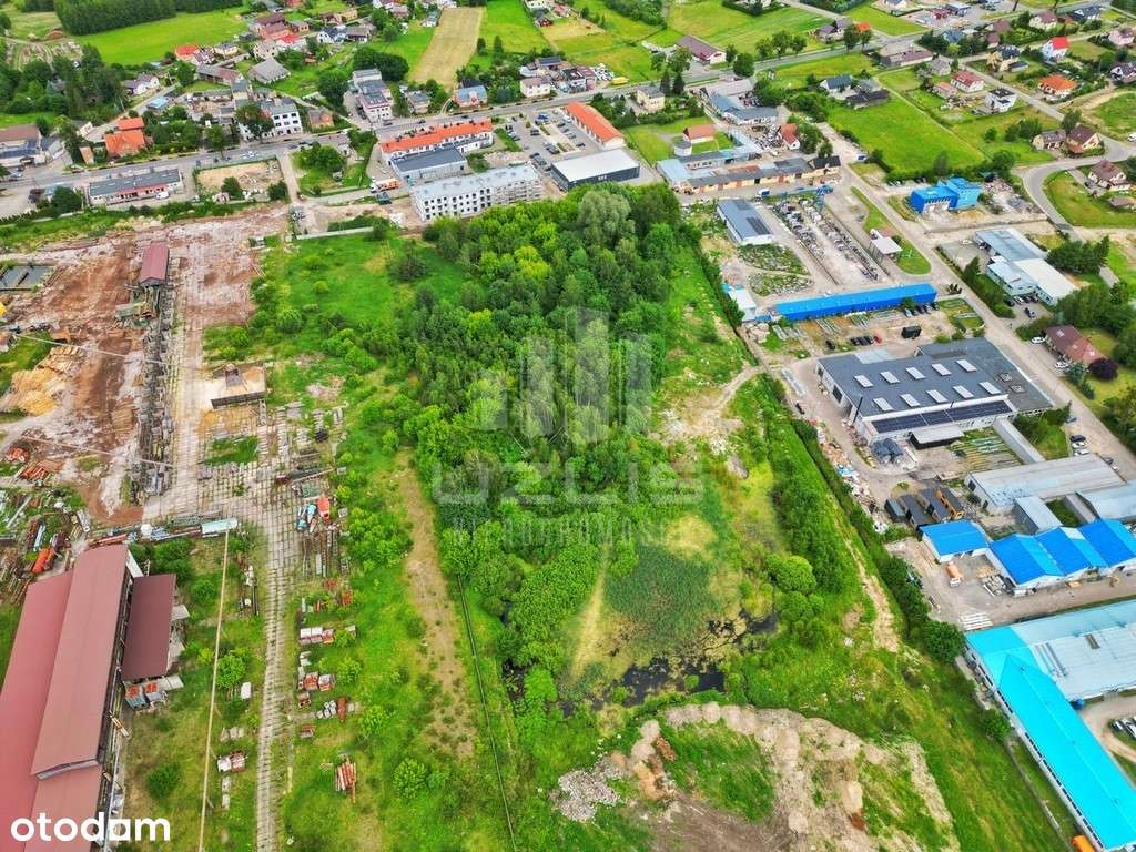 Działka produkcyjna  2,5 ha Kaliska - Pełny obrazek: 4/4