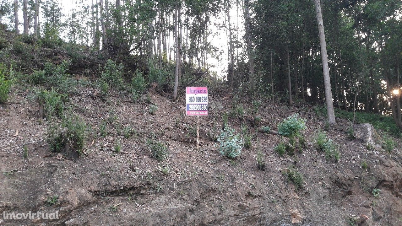 Terreno  Venda em Vila de Cucujães,Oliveira de Azeméis