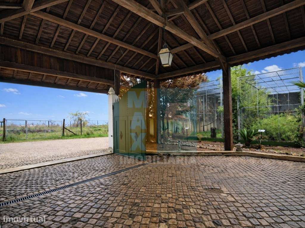 Quinta com 4.880 m2 - Alpiarça-38