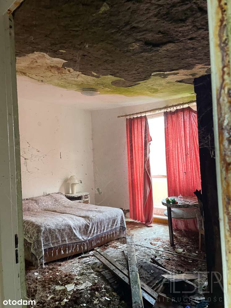 Dom z lat 70 z garażem | 5500 mkw działki-14