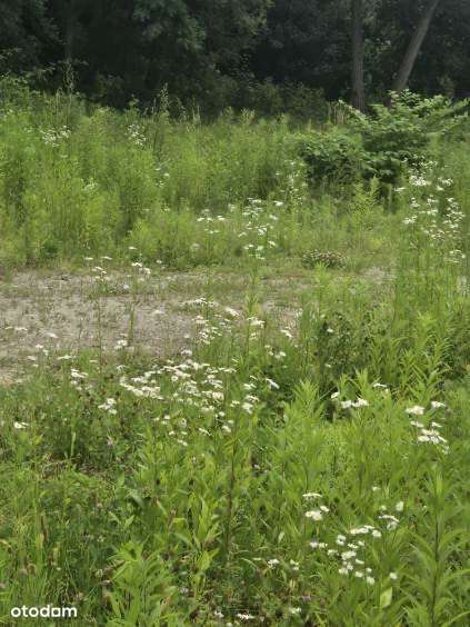 Działka z potencjałem i pozwoleniem - Bez prowizji-4