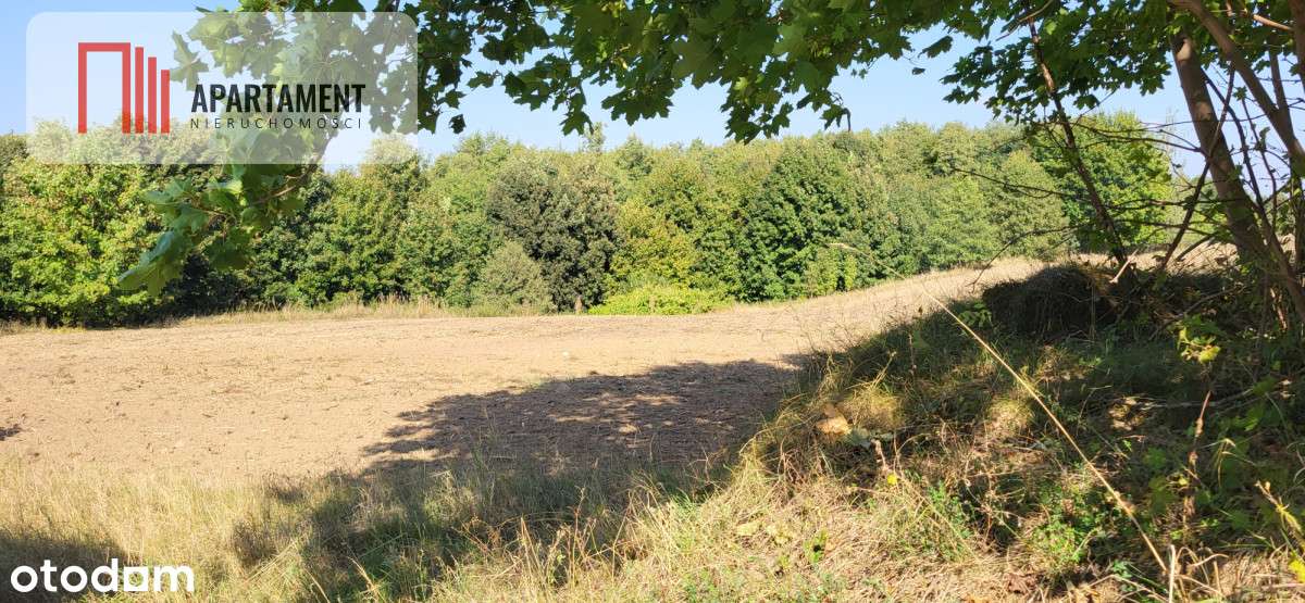 Działki z WZ- blisko jezioro. - Pełny obrazek: 5/6