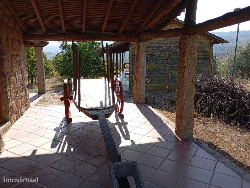 Quinta com 3 casas, vinha, olival e água em abundância, inclui recheio - Grande imagem: 5/12