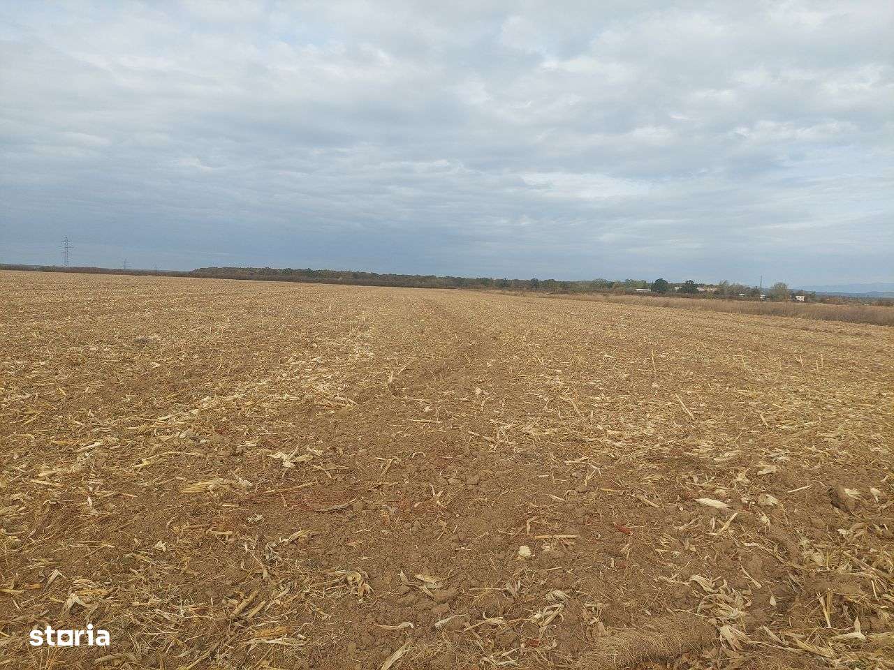 Teren dezvoltare rezidentiala / industriala - Dumbrava - comision 0%!-4