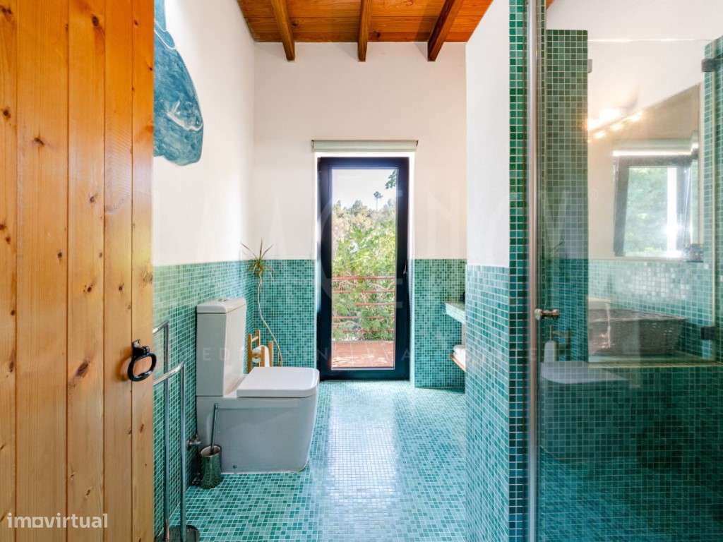 Excecional Quinta para Turismo Rural/Habitação - Entre Tábua e Oliv...-28