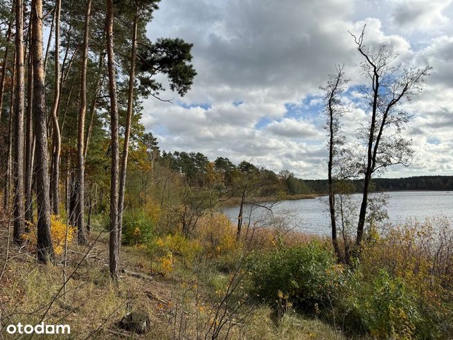 Działka z linią brzegową jeziora mierzyńskiego.